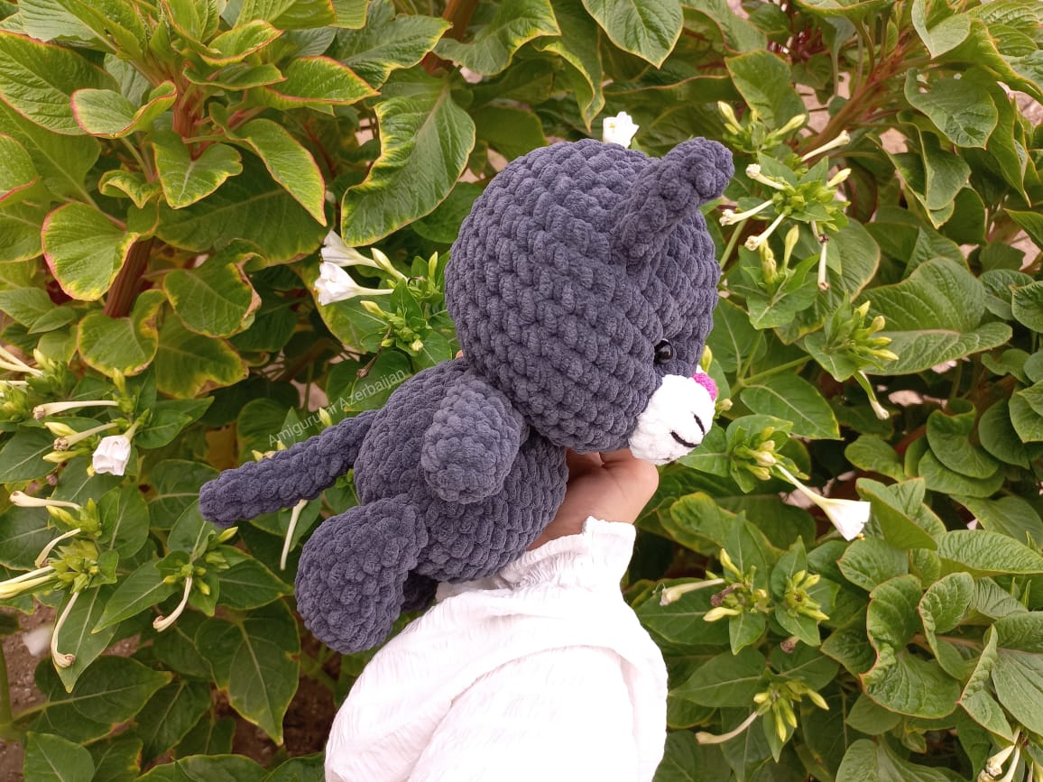 WhatsApp-Image-2023-08-13-at-16.33.06-1