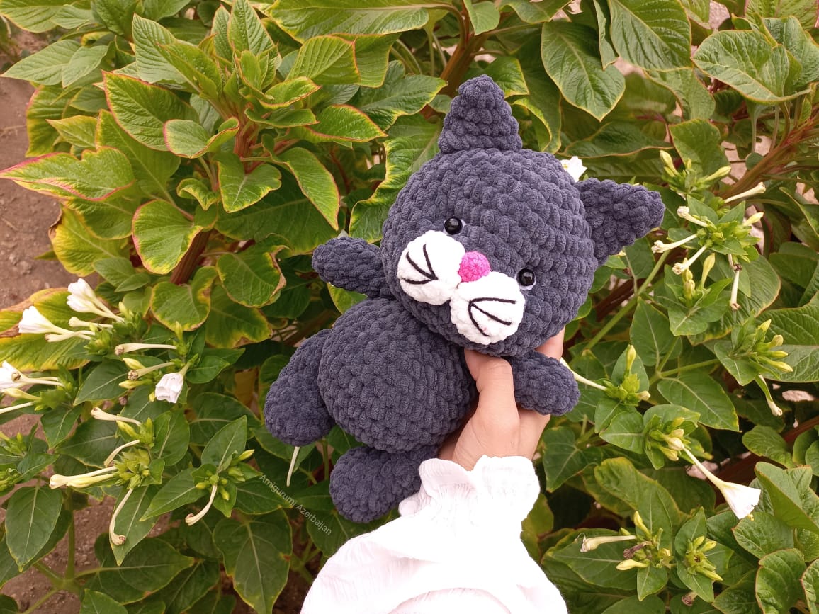 WhatsApp-Image-2023-08-13-at-16.33.06