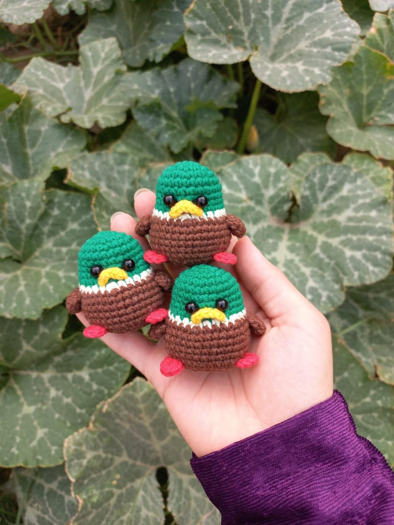 WhatsApp-Image-2023-10-04-at-16.16.21-1