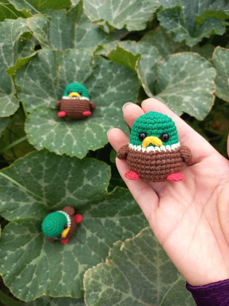 WhatsApp-Image-2023-10-04-at-16.16.21